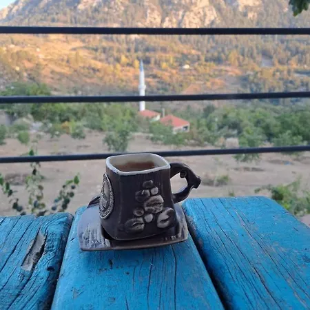 Chalé Ciftlik Ve Dag Evi - Canerbey *