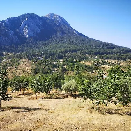 Chalé Ciftlik Ve Dag Evi - Canerbey *