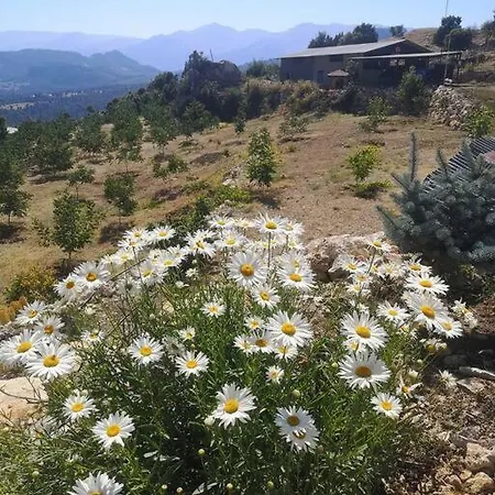 Chalé Ciftlik Ve Dag Evi - Canerbey