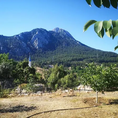 Ciftlik Ve Dag Evi - Canerbey Alpesi faház *