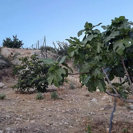 Ciftlik Ve Dag Evi - Canerbey Alpesi faház Kemer